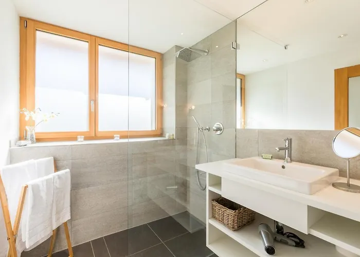 Homes - Panorama Salums Laax